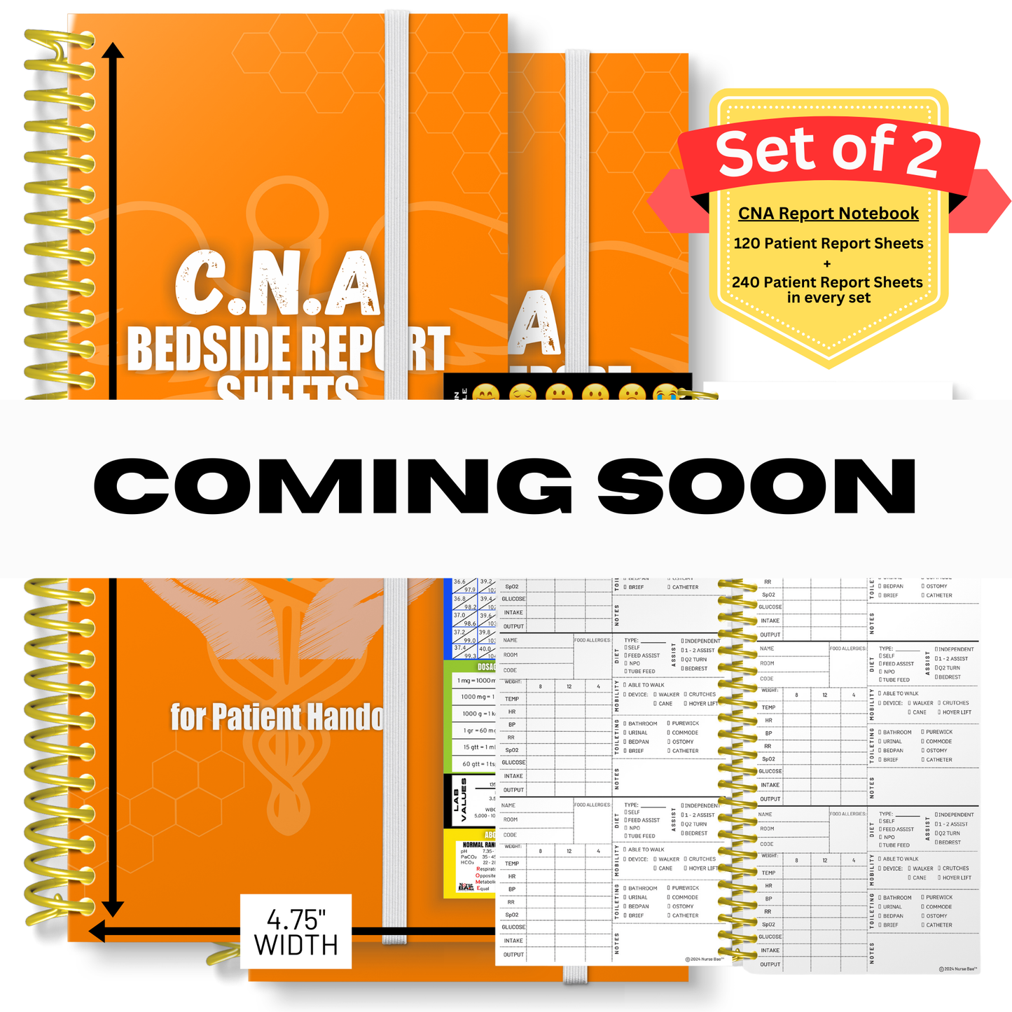 CNA Bedside Report Sheets - Set of 2